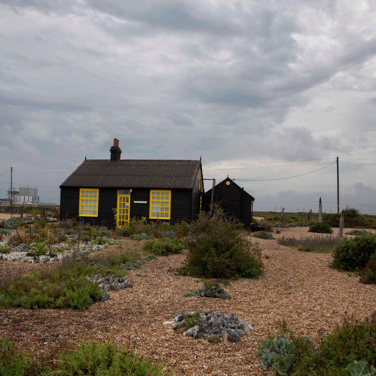 prospect cottage dungeness, photo card, photo clare hocter
