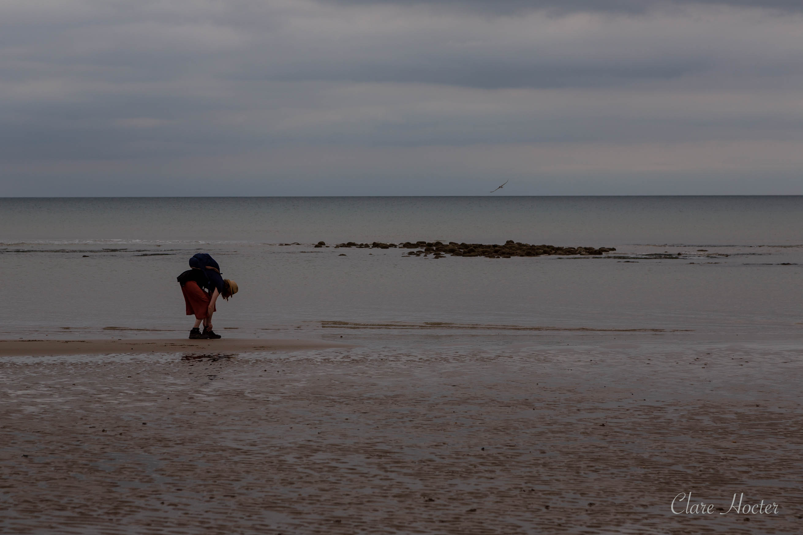 pett level beach, photograph, east sussex coast, photographer