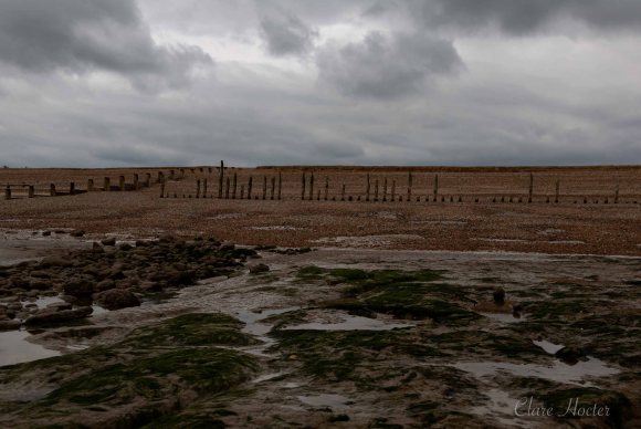 pett level beach, photograph, east sussex coast, clare hocter, photographer