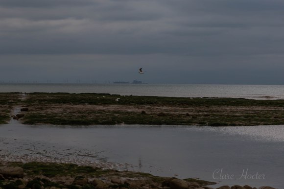 pett level beach, photograph, east sussex coast, clare hocter, photographer