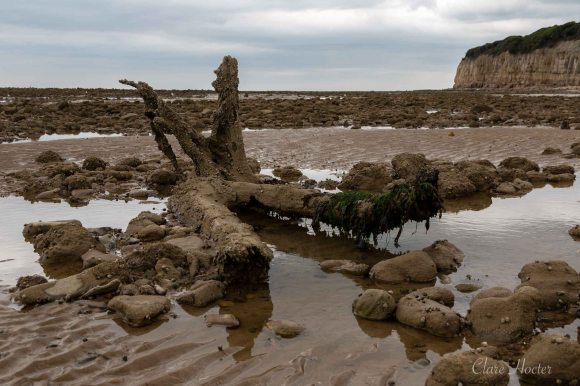 pett level beach, photograph, east sussex coast, clare hocter, photographer