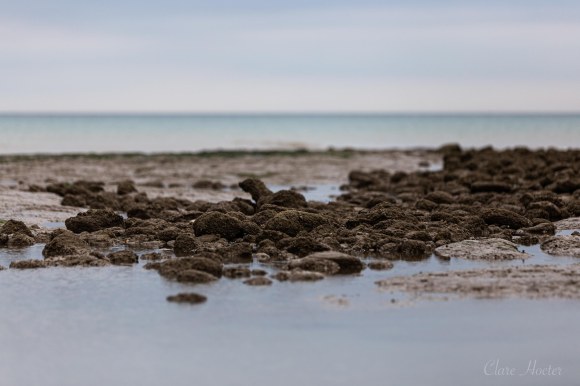 pett level beach, photograph, east sussex coast, clare hocter, photographer