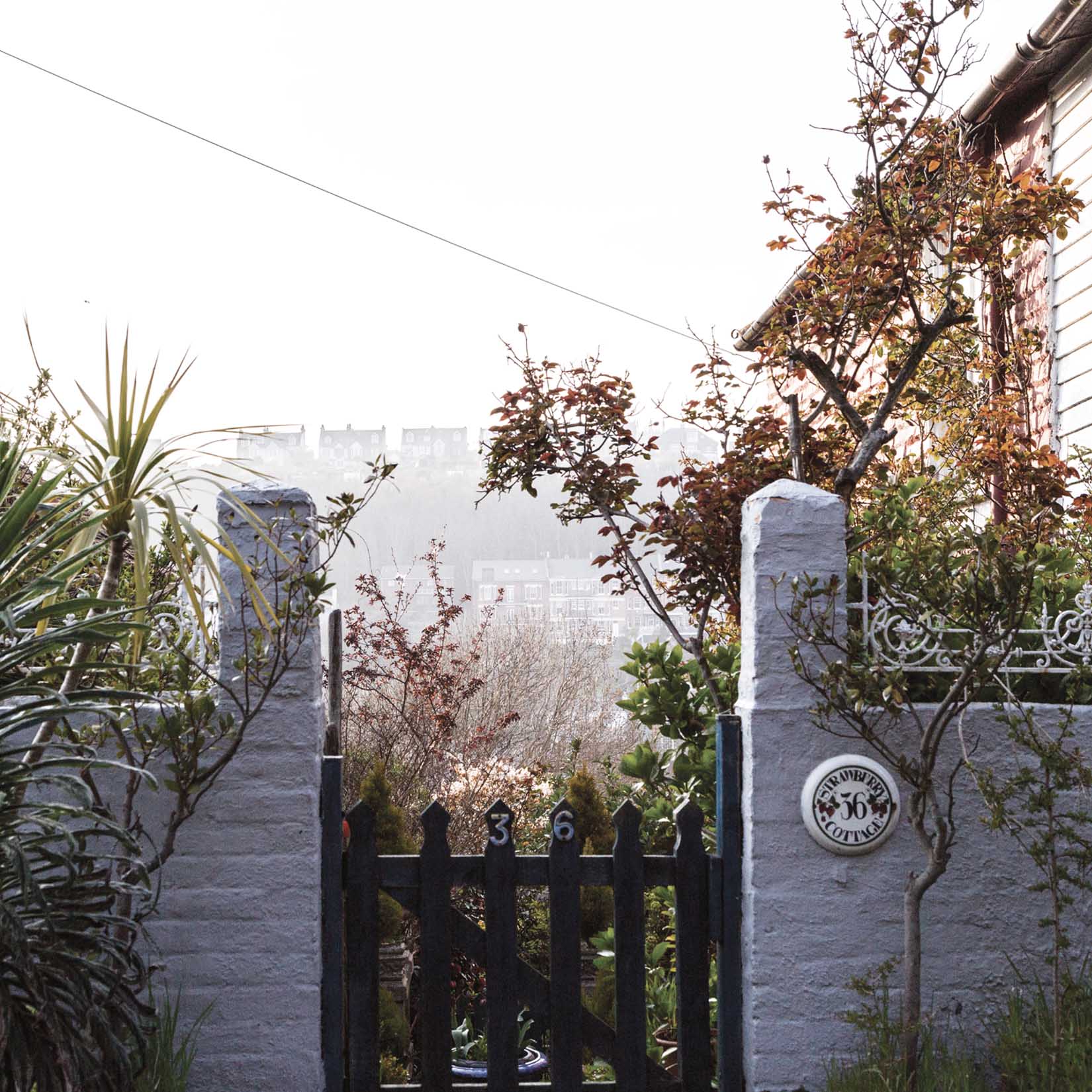 Hastings Old Town, Photo, Card