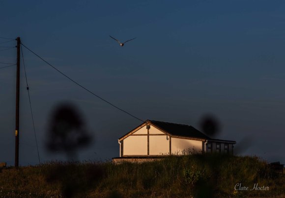 Dungeness hut at dusk, Kent landscape