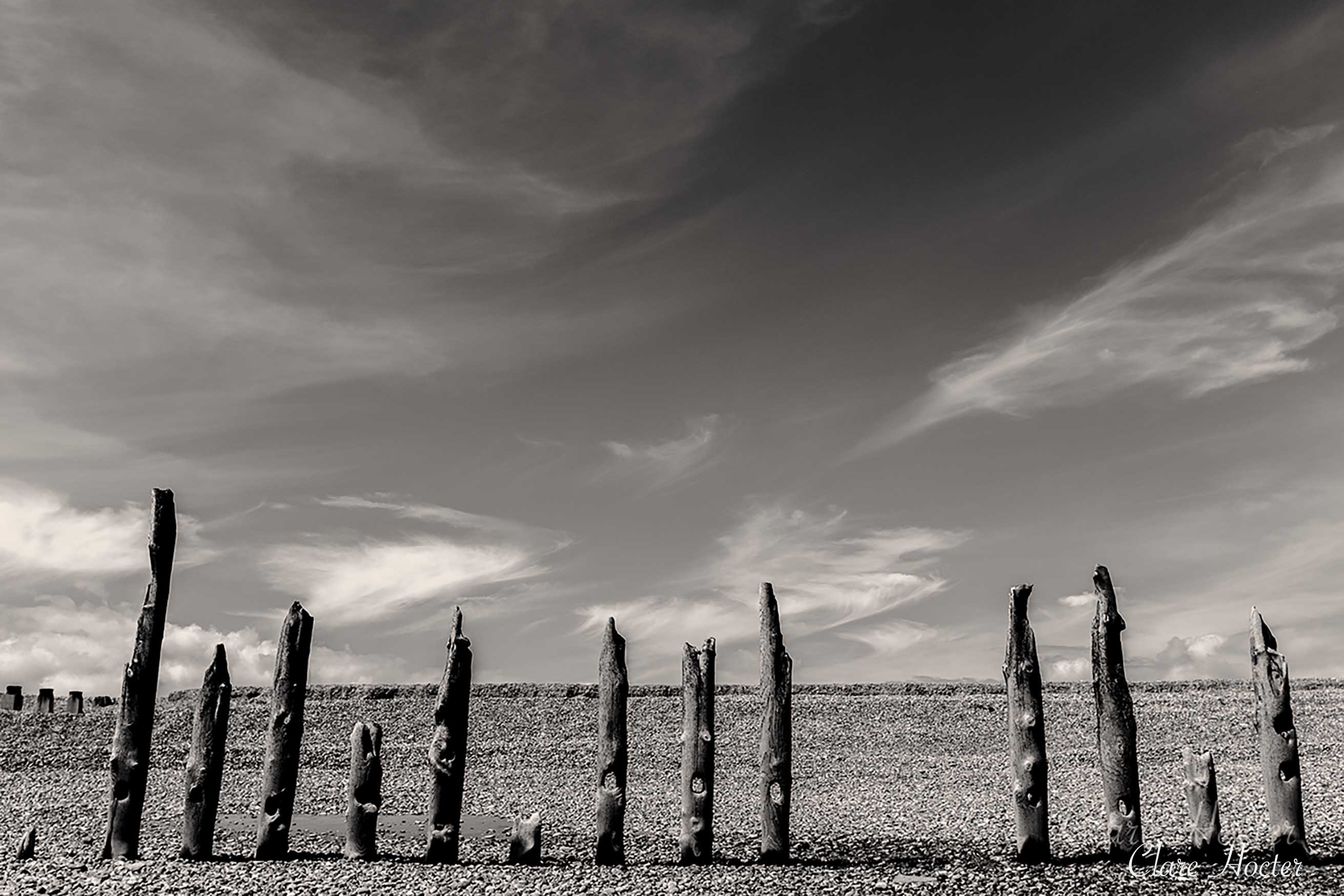 pett level photo black and white