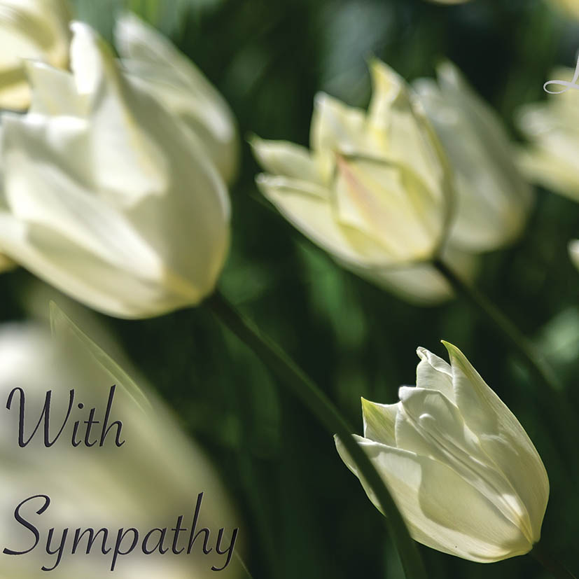 sympathy card, clare hocter